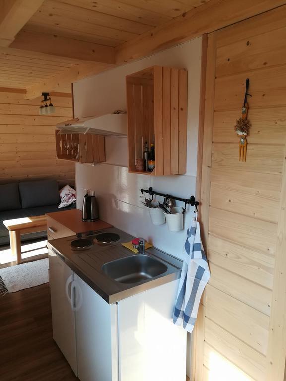 Apartament Stary Mlyn Zakopane Buitenkant foto