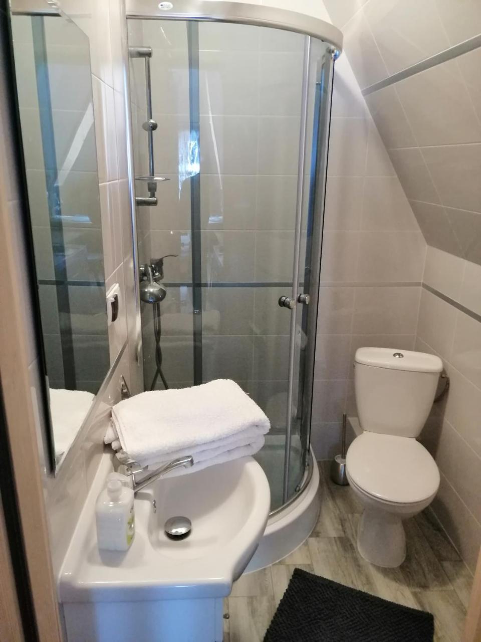 Apartament Stary Mlyn Zakopane Buitenkant foto